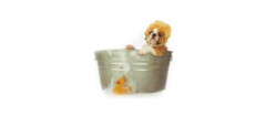 banho-tosa-de-animais-taboao-da-serra-1475247379
