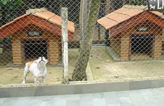 Canil Pelegrini - Foto 1
