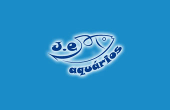 Je Aquários - Foto 1