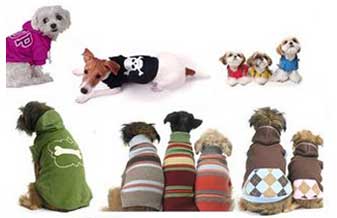 Mimados & Amados Pet Shop - Foto 1