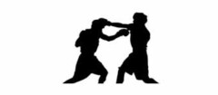 boxe-taboao-da-serra-1477324308