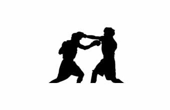 Chute Boxe Muay Thai Diego Lima - Foto 1