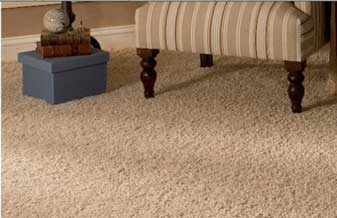 Quality Floor - Foto 1