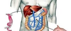 gastroenterologia-taboao-da-serra-1476396781
