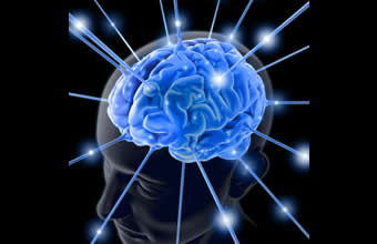 Maria Fernanda Capucho Reis de Campos - Foto 1