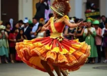 Baile da Melhor Idade Taboão da Serra Carnaval