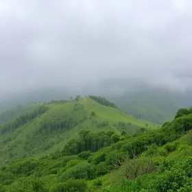 Taboão da Serra