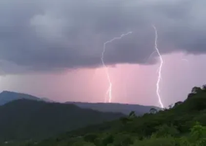 Últimas noticias de Taboão da Serra