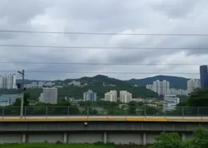 Últimas noticias de Taboão da Serra