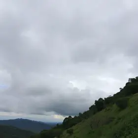 taboão da serra
