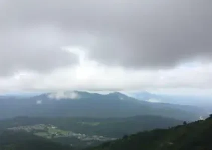 Últimas noticias de Taboão da Serra