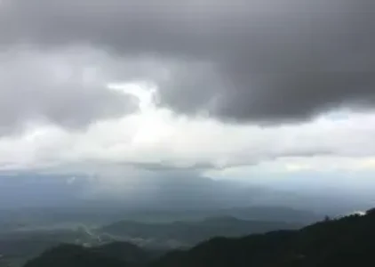 Últimas noticias de Taboão da Serra