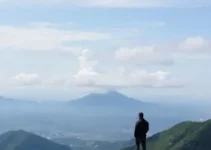 Cestto Atacadista