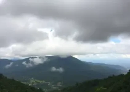 Últimas noticias de Taboão da Serra
