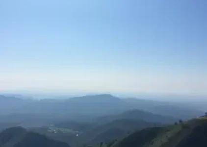 Últimas noticias de Taboão da Serra