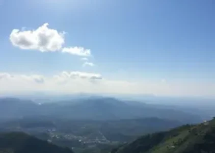 Últimas noticias de Taboão da Serra