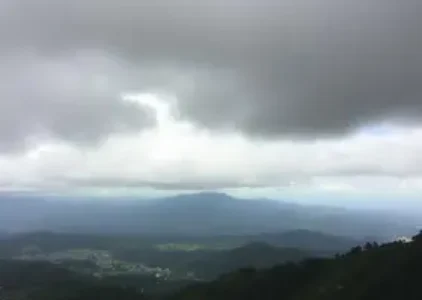 Últimas noticias de Taboão da Serra