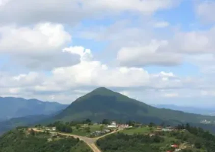 Últimas noticias de Taboão da Serra
