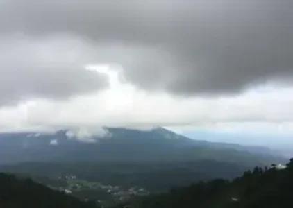 Últimas noticias de Taboão da Serra