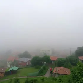 forte névoa