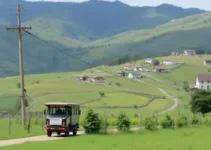 linhas de ônibus