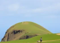 Taboão da Serra Anistia Fiscal 2026