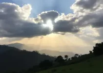 sol