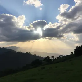 sol