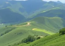 vagas remanescentes Taboão da Serra