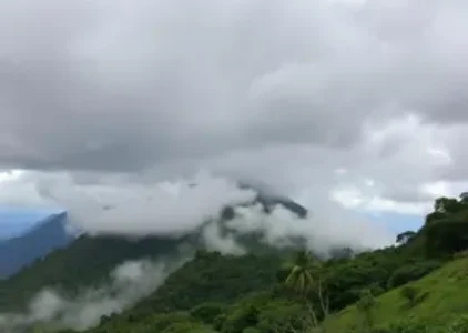Últimas noticias de Taboão da Serra