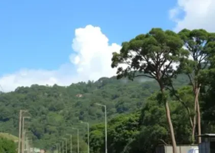 Últimas noticias de Taboão da Serra
