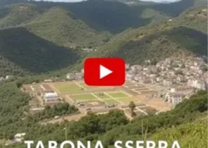 Últimas noticias de Taboão da Serra