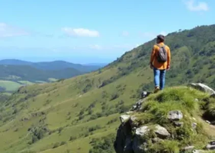 Últimas noticias de Taboão da Serra