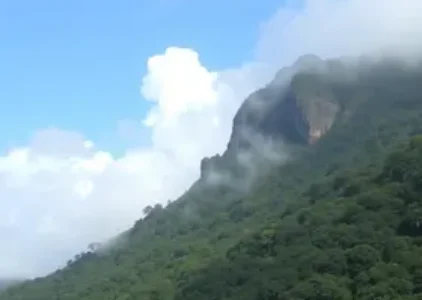 Últimas noticias de Taboão da Serra