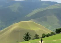 vencimento dos carnês de Tributos Mobiliários