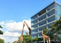 expansão Giraffas em São Paulo