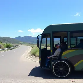 transporte gratuito