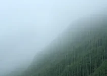 Taboão da Serra