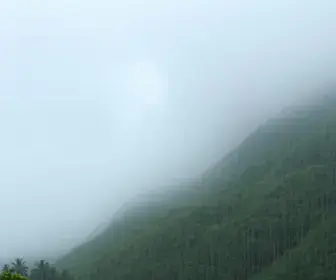 Defesa Civil alerta para chuva forte