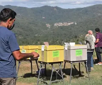 notícias da Amazônia Legal