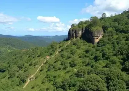 Últimas noticias de Taboão da Serra