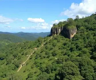 Coordenadoria de Direitos Humanos