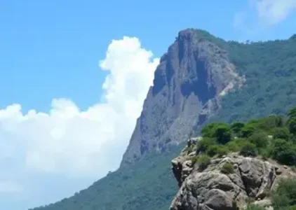 Últimas noticias de Taboão da Serra