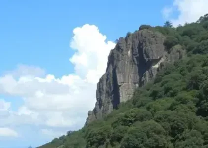 Últimas noticias de Taboão da Serra