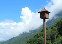 previsão do tempo na região