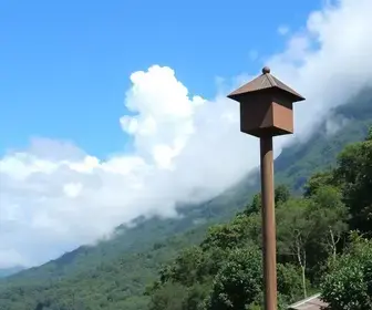 previsão do tempo na região