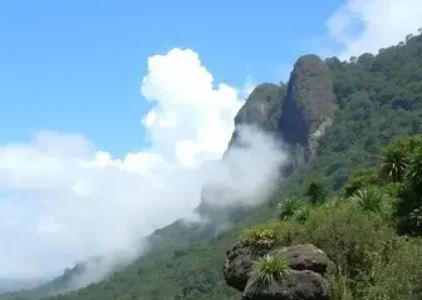 Últimas noticias de Taboão da Serra