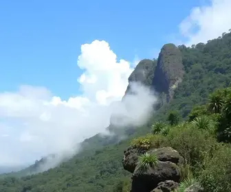 previsão do tempo Taboão da Serra