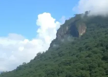 Últimas noticias de Taboão da Serra