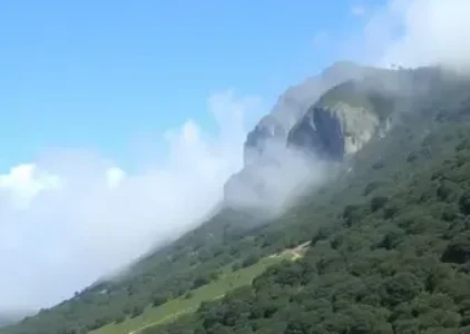 Últimas noticias de Taboão da Serra